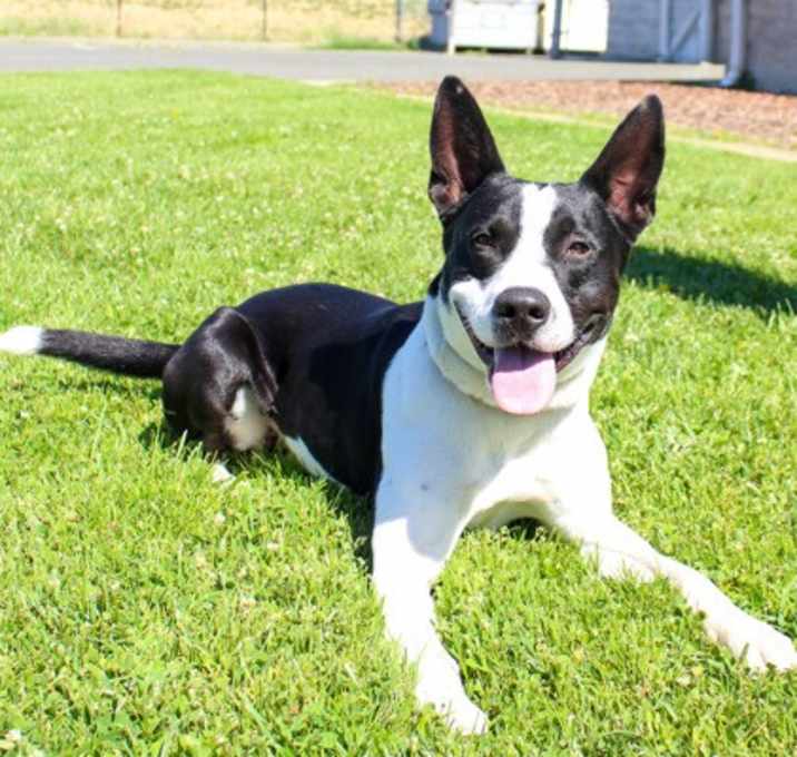 Photo of Dakota