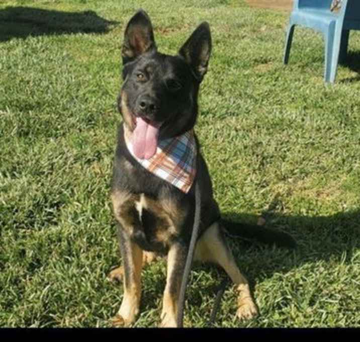 Photo of BUGSY