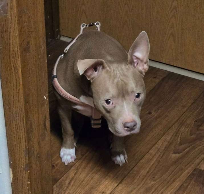 Photo of Hazel