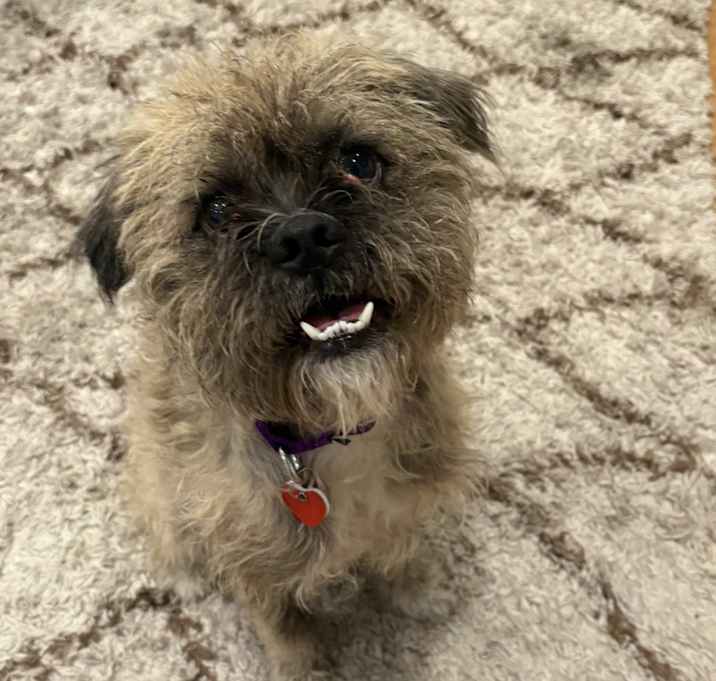 Photo of Gus
