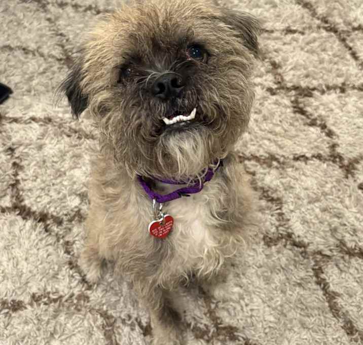 Photo of Gus