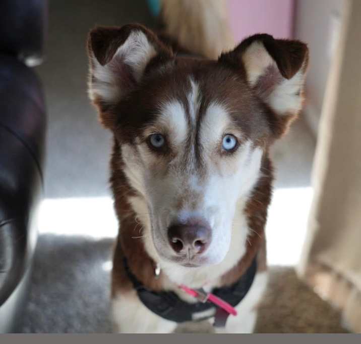 Photo of Blue