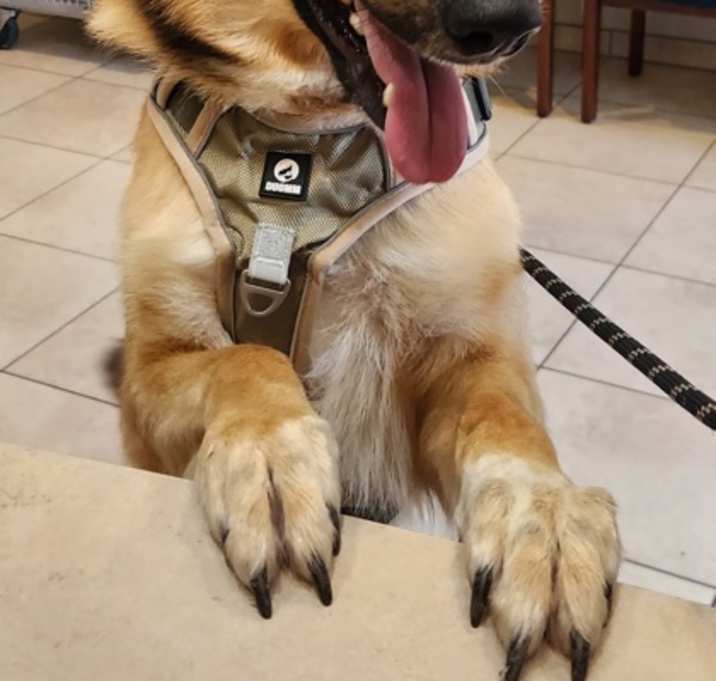 Photo of Cash