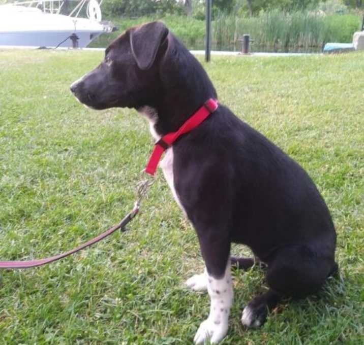 Photo of Chika