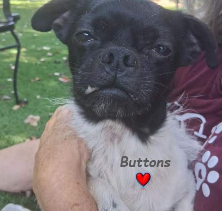 Photo of Buttons