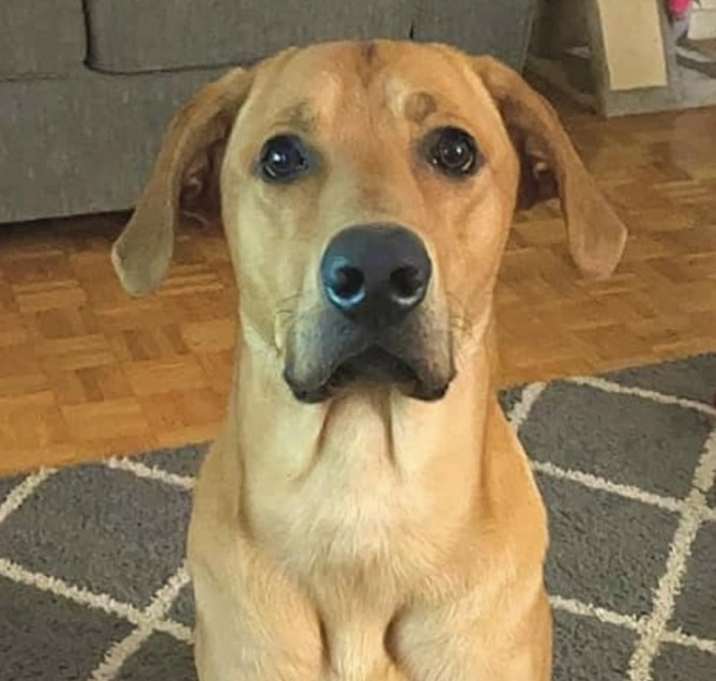 Photo of Odin