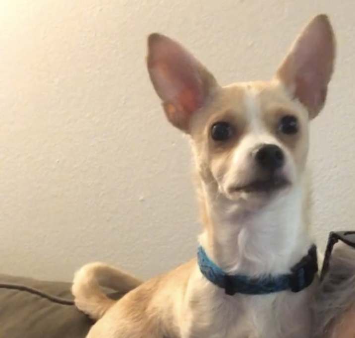 Photo of Bourbon James