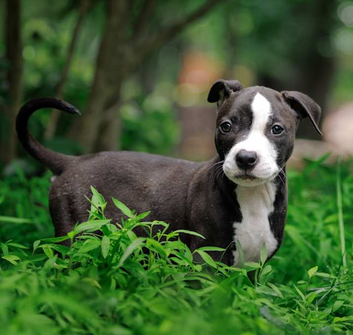 Photo of Skittles