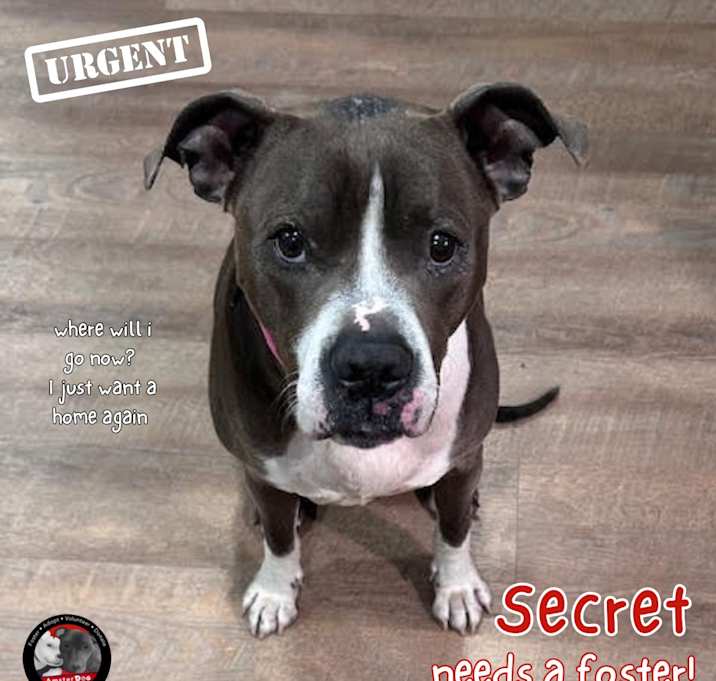Photo of Secret
