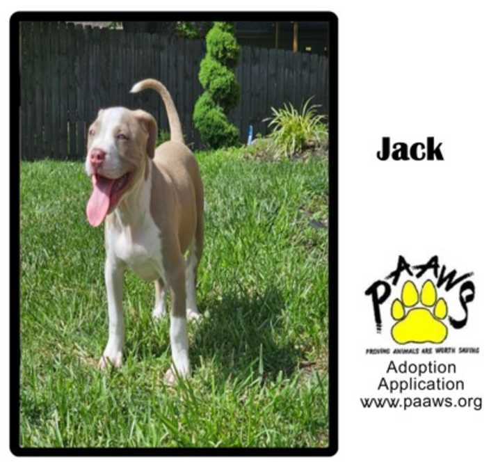 Photo of Jack