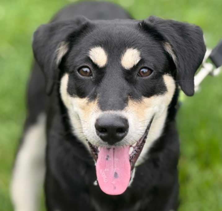 Photo of Nova