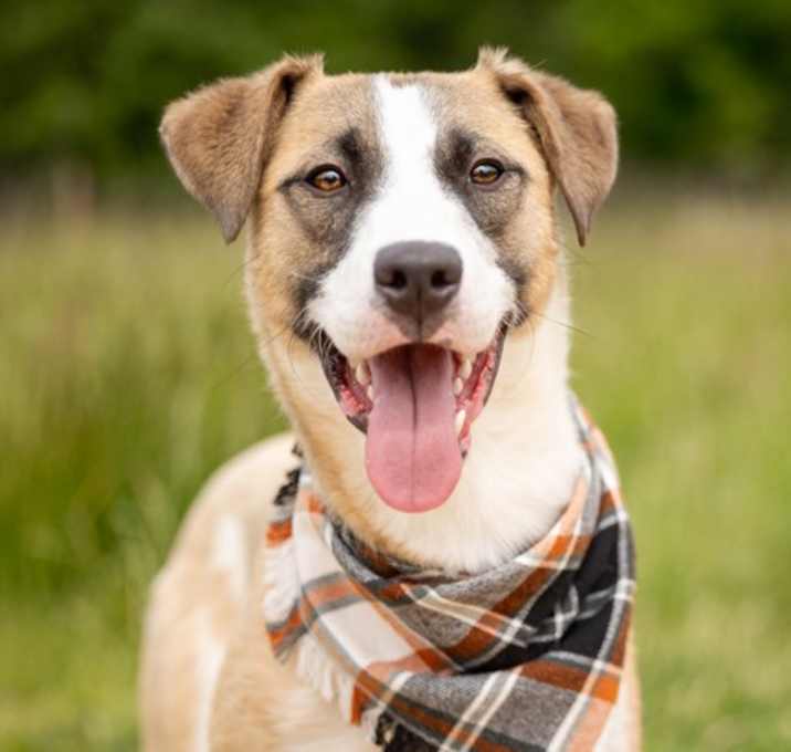 Photo of Cash