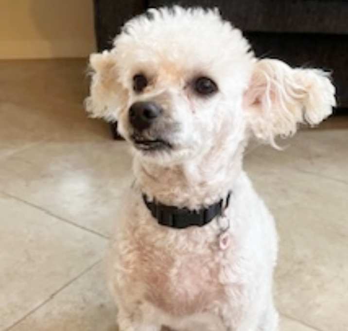 Photo of Daisy