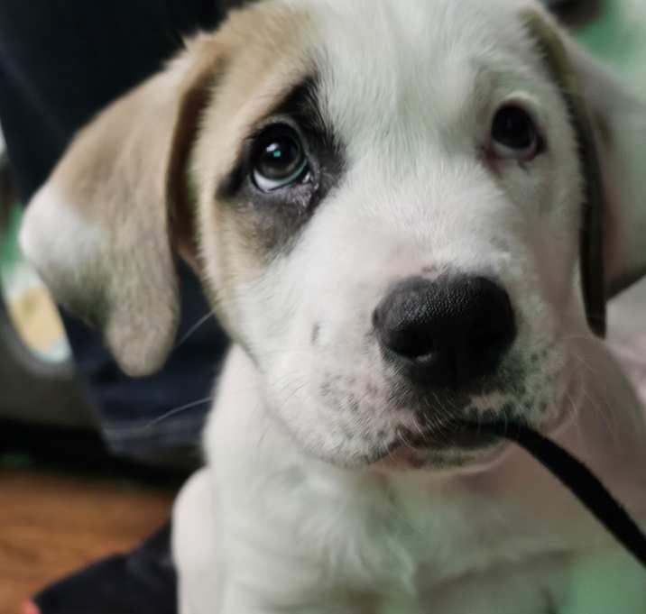 Photo of Olaf