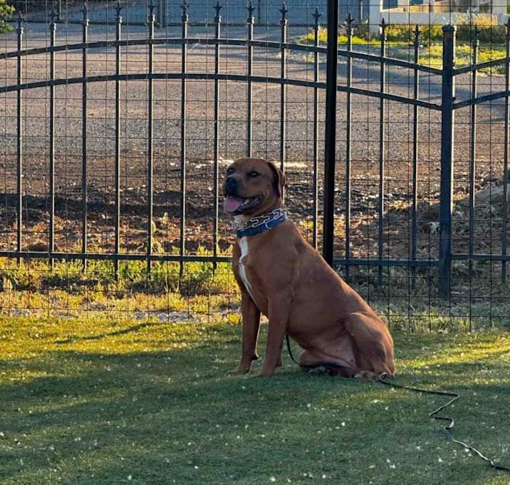 Photo of Missy