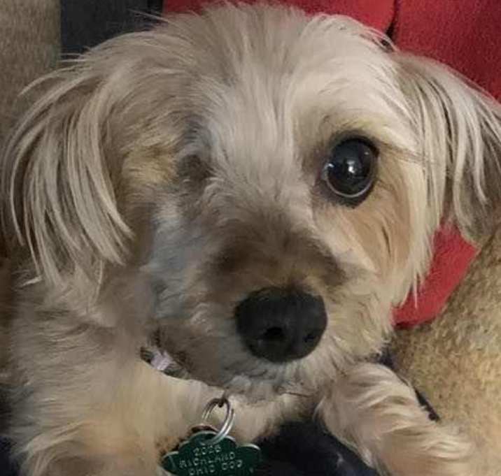Photo of Miss Lilly
