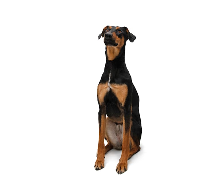 Photo of Darlene
