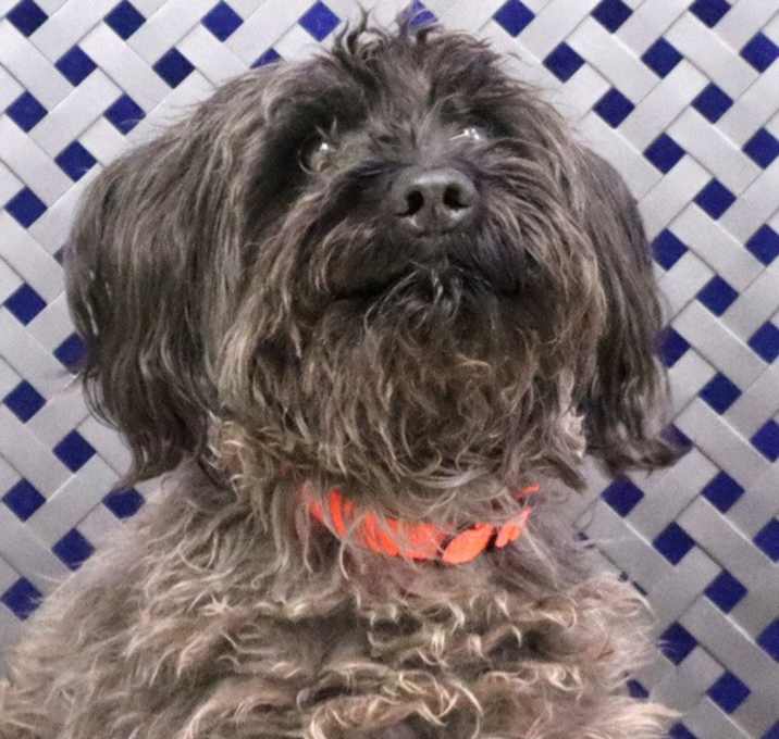 Photo of Jonah
