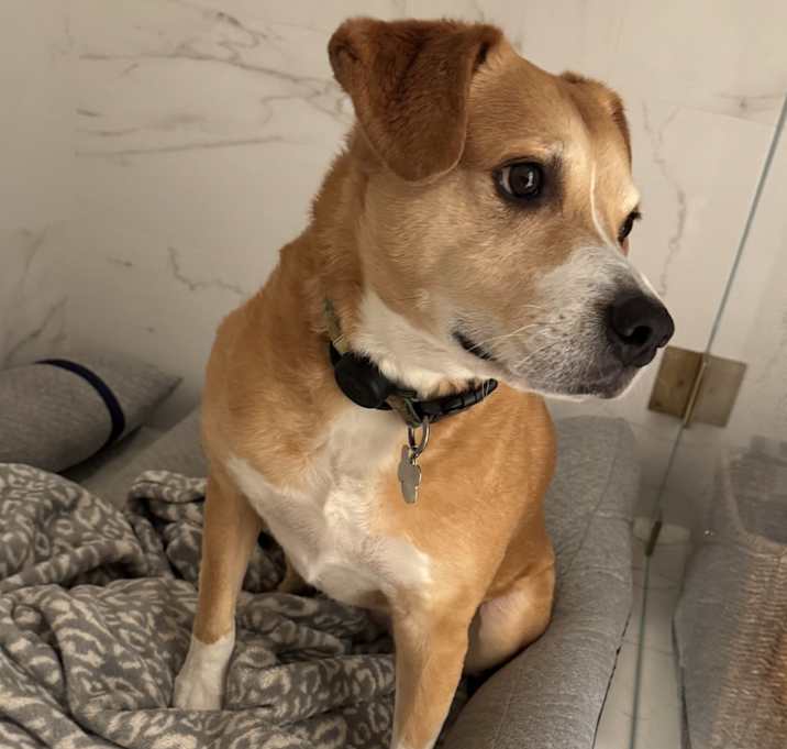 Photo of Ruby