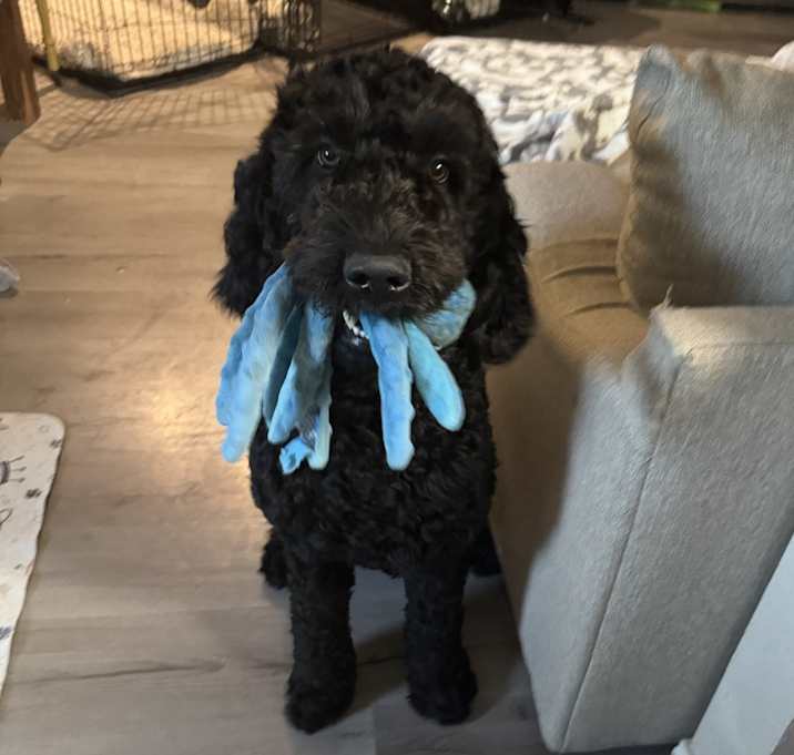 Photo of Bruce