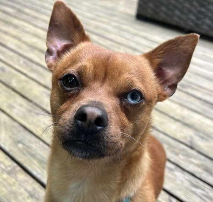 Photo of Benny