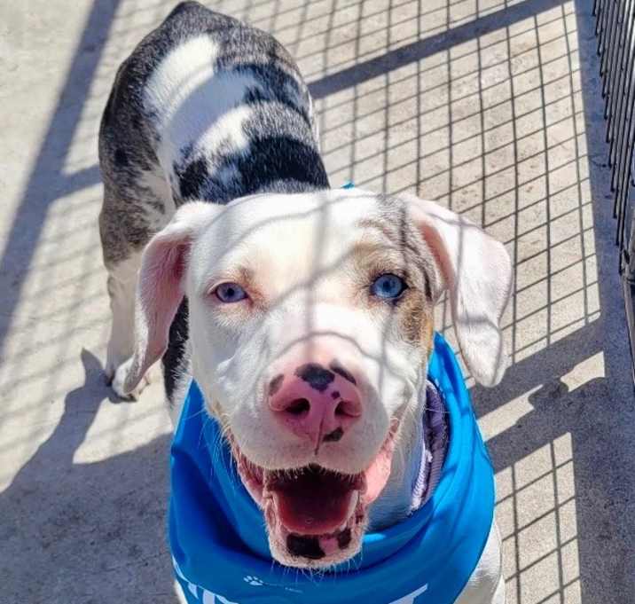 Photo of Celeste-Gorgeous girl!