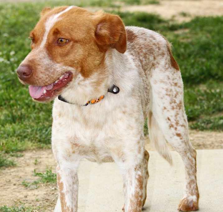 Photo of Paisley