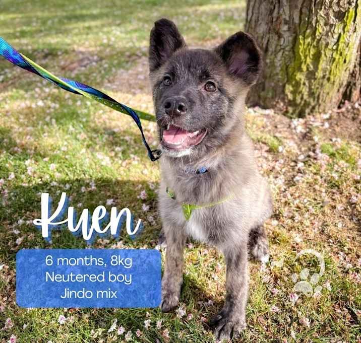 Photo of Kuen