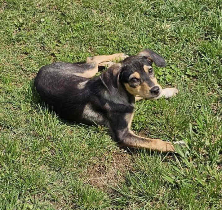 Photo of Leia