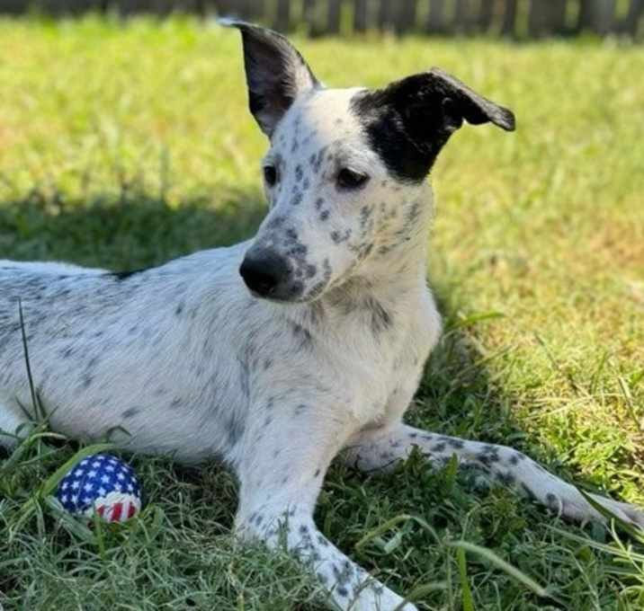 Photo of Sansa
