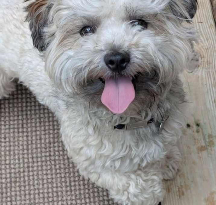 Photo of Murphy