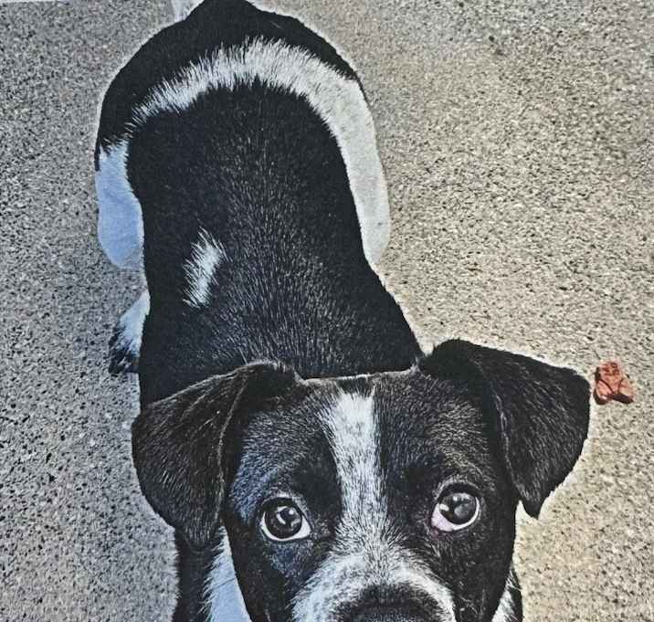 Photo of Reggie