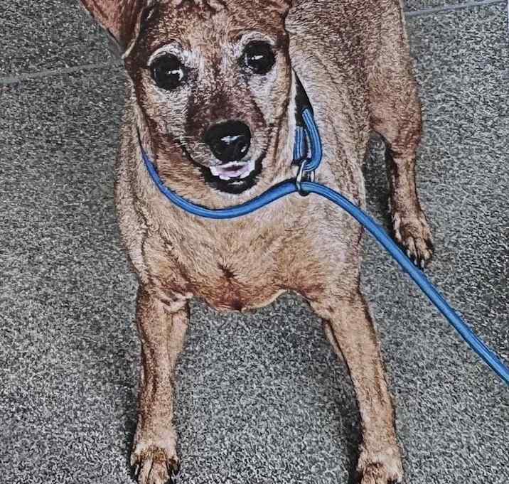 Photo of Jubilee