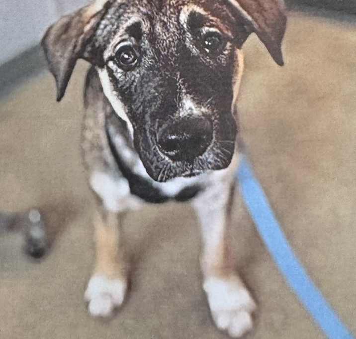 Photo of Hudson