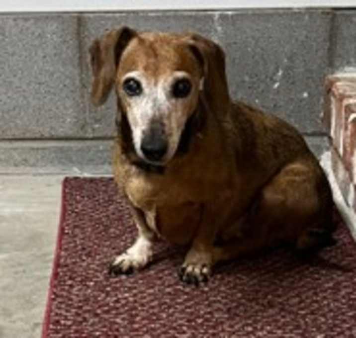 Photo of Angel