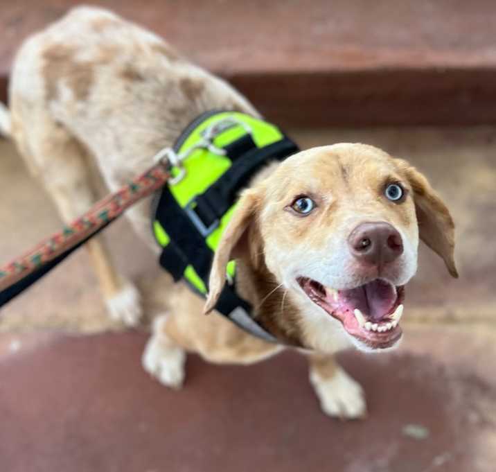 Photo of Benson