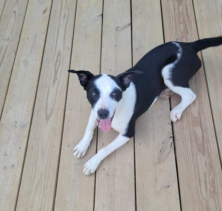 Photo of Paco