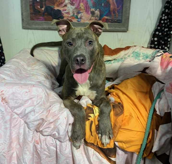 Photo of Roxie