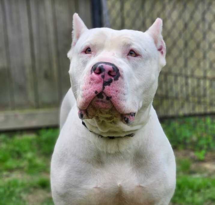 Photo of Nevaeh