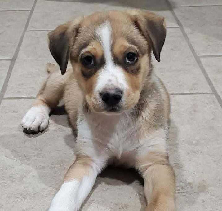 Photo of Bandita