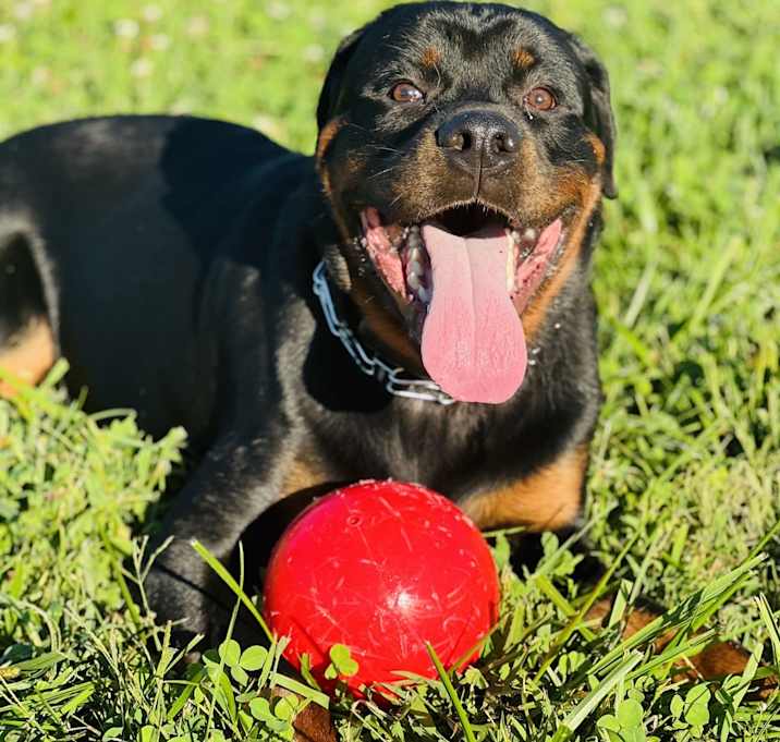 Photo of Kash