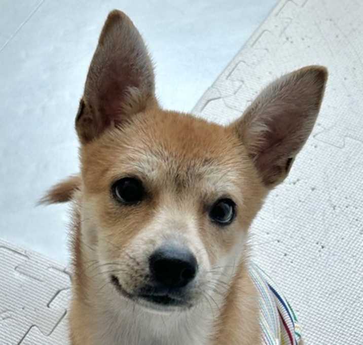 Photo of Kkuni
