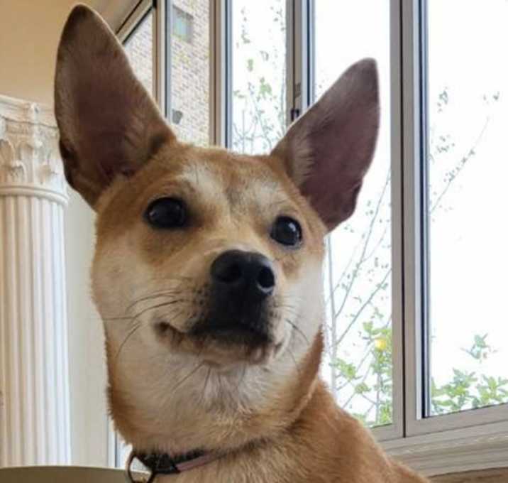 Photo of Kkuya