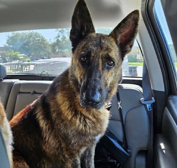 Photo of Bonnie