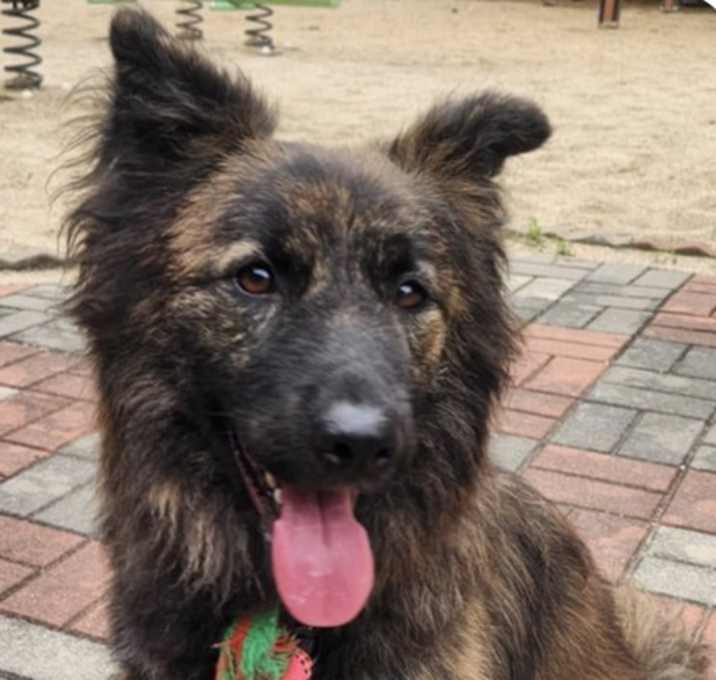 Photo of Pancake