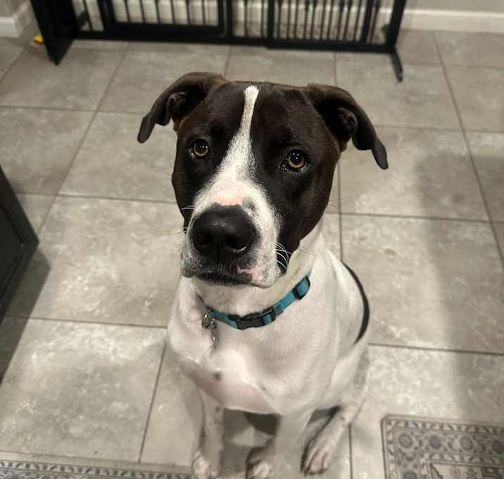 Photo of Aero