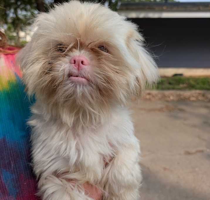 Photo of Faith - adoption pending