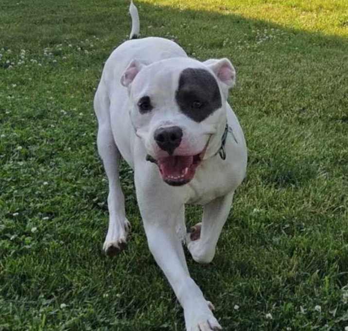 Photo of Dalila
