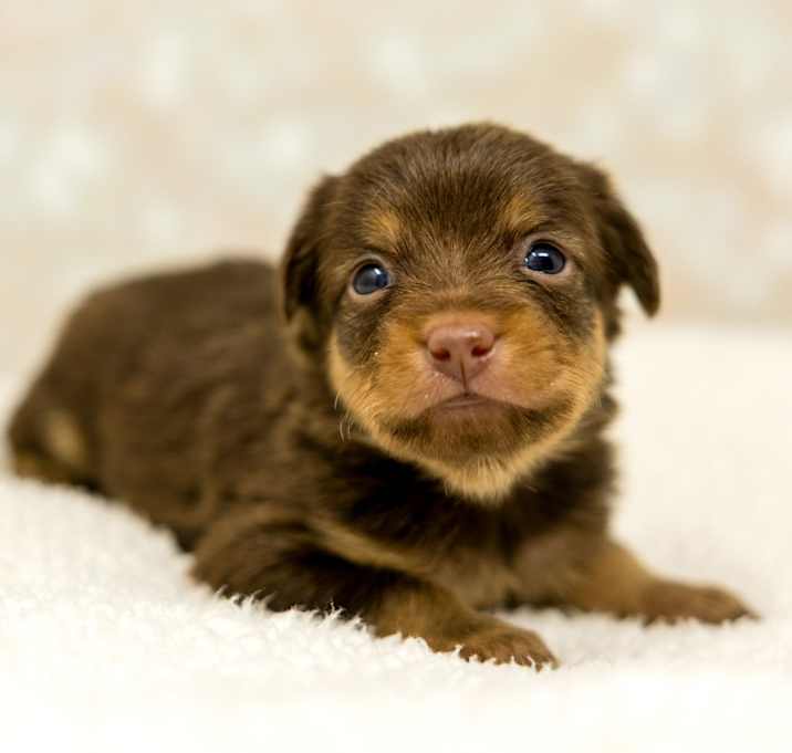Photo of Jinx