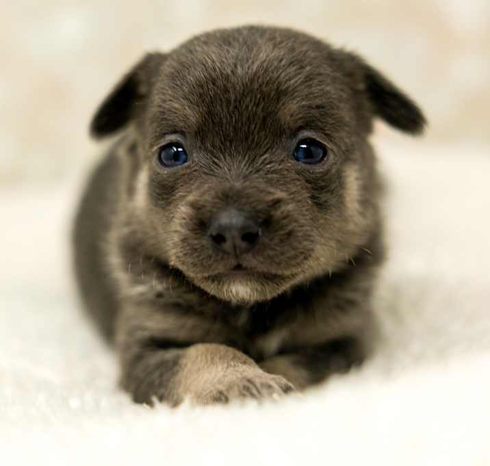 Photo of Charm